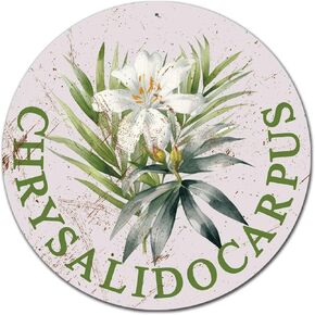 Lygond Metal Sign Tin Sign Retro Round Garden Flower Daisy Bathroom Signs for Home for Home Decor 12×12 Inches