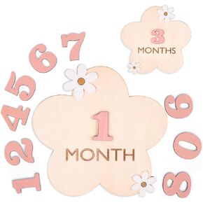 Ribbon Bow Baby Monthly Milestone, Wooden Baby Milestone Signs, Monthly Milestone Wood Discs, Baby Milestone Discs, Baby Photo Props Cards Interchangeable Number Set of 12 for Baby Growth Recording