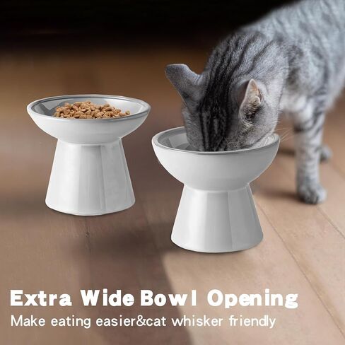 kathson Raised Cat Water and Food Bowl Set, 6.2in Ceramic Elevated Shallow Cat Bowls, Cat Food Plate Pack of 2, Cat Food Dish Anti Whisker Fatigue Protect Kitty Spine (Brown) in Saudi Arabia