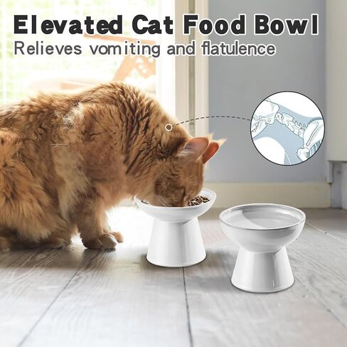 kathson Raised Cat Water and Food Bowl Set, 6.2in Ceramic Elevated Shallow Cat Bowls, Cat Food Plate Pack of 2, Cat Food Dish Anti Whisker Fatigue Protect Kitty Spine (Brown) in Saudi Arabia