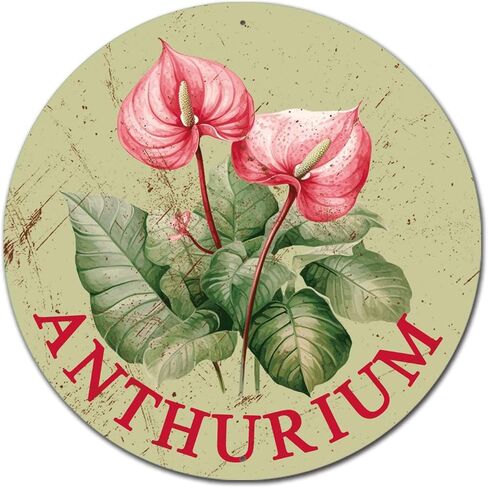 Lygond Metal Sign Tin Sign Retro Round Garden Flower Daisy Bathroom Signs for Home for Home Decor 12×12 Inches in Saudi Arabia