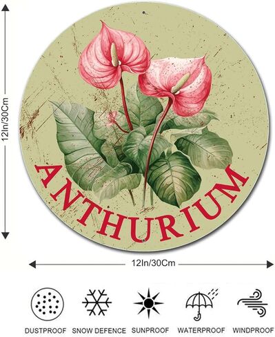 Lygond Metal Sign Tin Sign Retro Round Garden Flower Daisy Bathroom Signs for Home for Home Decor 12×12 Inches in Saudi Arabia