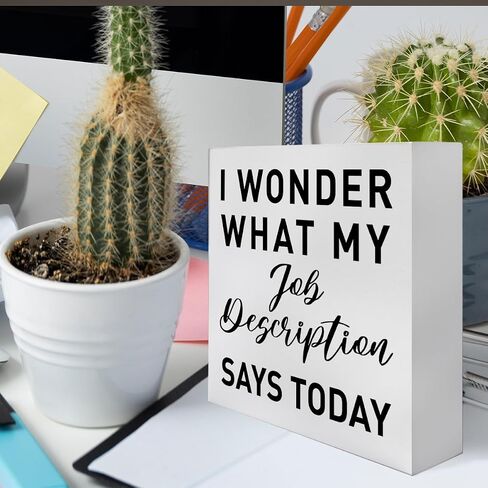 HR Office Gifts for Women Men, Human Resources Humor Quotes Coworker Boss Office Gifts, I’m Cool HR, Funny Office Decor Wooden Box Sign, Home Office Desk Decoration for Work Women Men in Saudi Arabia