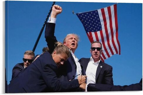 Alicecally Donald Trump Assassination Canvas Poster Wall Art Decor Print Picture Paintings for Living Room Bedroom Decoration 08x12inch(20x30cm) in Saudi Arabia
