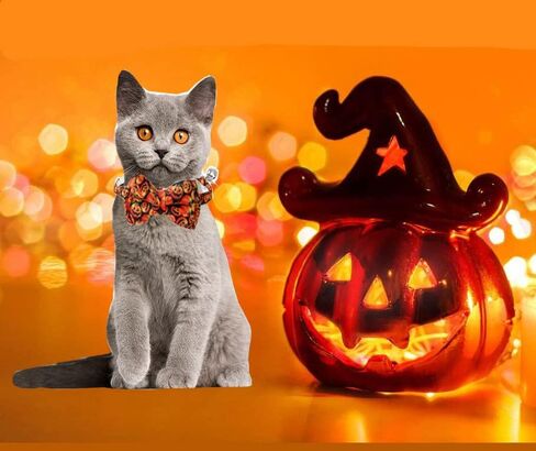 2-Pack Breakaway Cat Collars with Removable Double-Layer Bow Tie and Bell for Boy and Girl Cats,Safety Kitten Collars Suitable for Festivals and Daily. in Kuwait