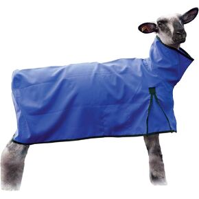 Sheep Blanket, Solid Butt, Extra-Large, Blue