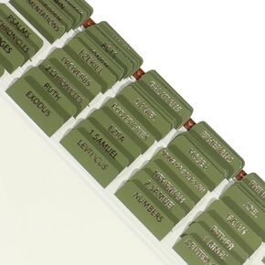Laminated Bible Tabs for Women, Bible Study, Gold Foil Indexing Labels, Bible Journaling, Durable, New and Old Testament, Christian, Catholic, Apocrypha, 90 Tabs - Let Him Shine