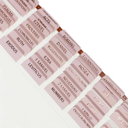 Laminated Bible Tabs for Women, Bible Study, Gold Foil Indexing Labels, Bible Journaling, Durable, New and Old Testament, Christian, Catholic, Apocrypha, 90 Tabs - Let Him Shine in Saudi Arabia