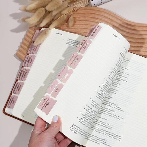 Laminated Bible Tabs for Women, Bible Study, Gold Foil Indexing Labels, Bible Journaling, Durable, New and Old Testament, Christian, Catholic, Apocrypha, 90 Tabs - Let Him Shine in Saudi Arabia