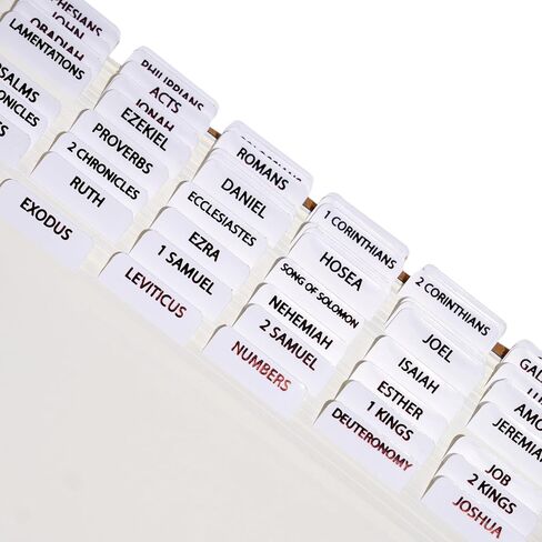 Laminated Bible Tabs for Women, Bible Study, Gold Foil Indexing Labels, Bible Journaling, Durable, New and Old Testament, Christian, Catholic, Apocrypha, 90 Tabs - Let Him Shine in Saudi Arabia