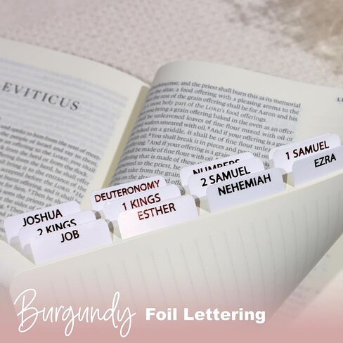 Laminated Bible Tabs for Women, Bible Study, Gold Foil Indexing Labels, Bible Journaling, Durable, New and Old Testament, Christian, Catholic, Apocrypha, 90 Tabs - Let Him Shine in Saudi Arabia