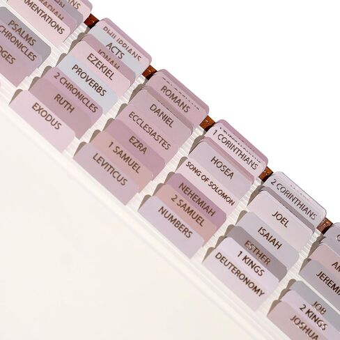 Laminated Bible Tabs for Women, Bible Study, Gold Foil Indexing Labels, Bible Journaling, Durable, New and Old Testament, Christian, Catholic, Apocrypha, 90 Tabs - Let Him Shine in Kuwait