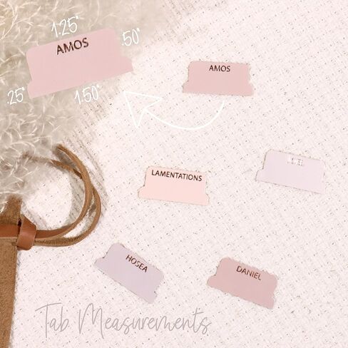 Laminated Bible Tabs for Women, Bible Study, Gold Foil Indexing Labels, Bible Journaling, Durable, New and Old Testament, Christian, Catholic, Apocrypha, 90 Tabs - Let Him Shine in Kuwait