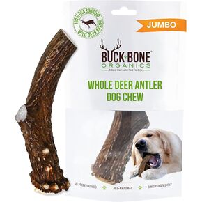 Buck Bone Organics Deer Antler Dog Bones, Premium Grade A - Natural Dog Treat, Made in Montana (Medium)
