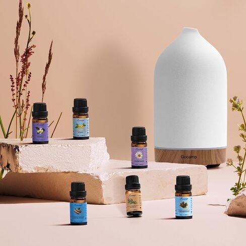 Essential Oils Set-Top 6 Organic Blends for Diffusers, Candle Making, Aromatherapy, Humidifiers, Gifts - Grape,Lemon,Mango,Bergamot,Plneapple,Peach(6X10ML) in Kuwait