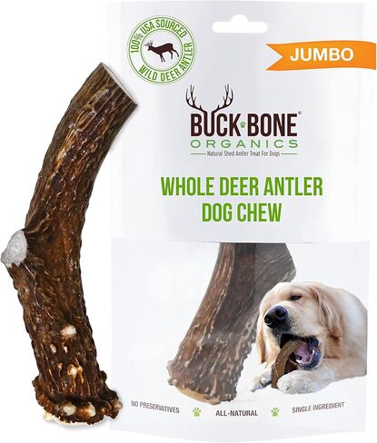 Buck Bone Organics Deer Antler Dog Bones, Premium Grade A - Natural Dog Treat, Made in Montana (Medium) in Saudi Arabia