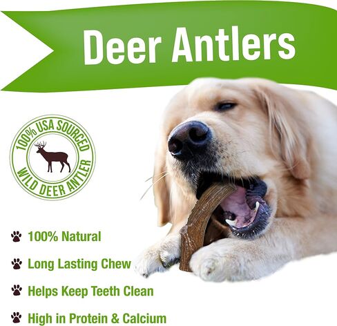 Buck Bone Organics Deer Antler Dog Bones, Premium Grade A - Natural Dog Treat, Made in Montana (Medium) in Saudi Arabia