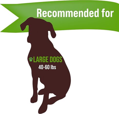 Buck Bone Organics Deer Antler Dog Bones, Premium Grade A - Natural Dog Treat, Made in Montana (Medium) in Saudi Arabia