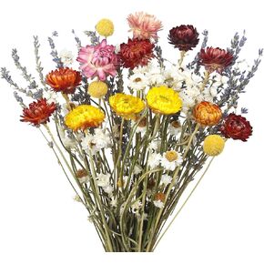 Dried Flowers Bouquet Dried Daisy Flowers Natural Lavender Dried Flowers Bunny Tails Gerber Daisies Flowers Wheat Stalks Floral Arrangements for Wedding Table Centerpiece Decor Farmhouse DIY