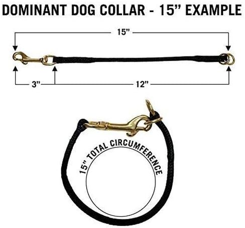 Nylon Dominant Dog Choke Collar Black, 18 inch in Saudi Arabia