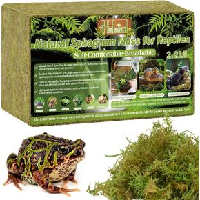 Halatool 9OZ Natural Sphagnum Moss for Reptiles- 14QT Green Live Moss for Terrarium Plants Long Fiber Reptile Moss for Leopard Gecko Snake Hamsters Tortoises Frogs Lizards Salamanders