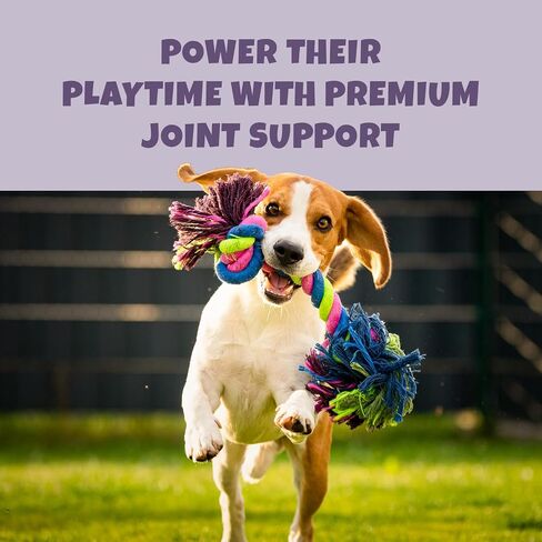 Dog Allergy Relief Chews - Quercetin + Omega 3 - Natural Antihistamine for Itching, Paw Licking, Seasonal and Grass Allergies - for Itchy Skin, Hot Spots, Immune Support in Saudi Arabia
