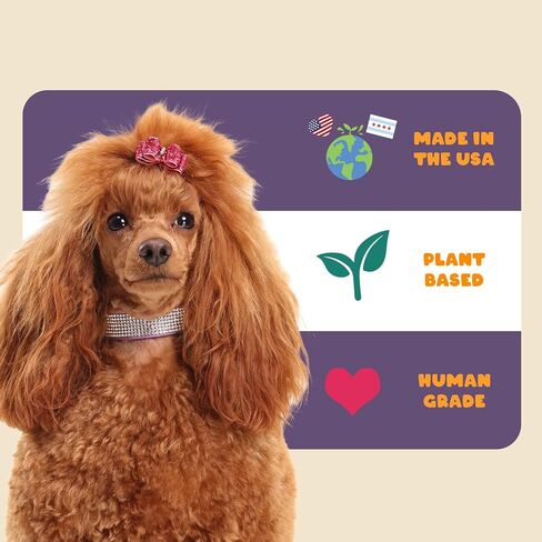 Dog Allergy Relief Chews - Quercetin + Omega 3 - Natural Antihistamine for Itching, Paw Licking, Seasonal and Grass Allergies - for Itchy Skin, Hot Spots, Immune Support in Saudi Arabia