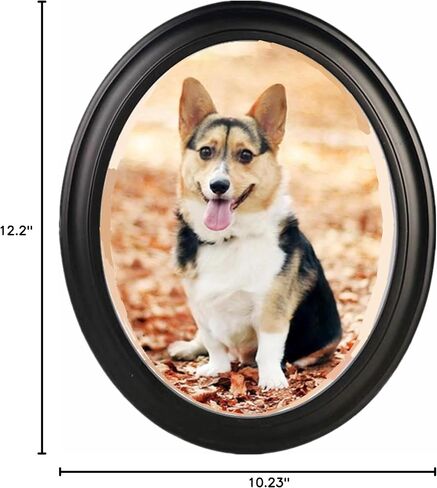Oval Picture Frames,Classic Oval Wood Picture Frame Wooden Wall Hanging Picture Frames for Home Office Wall Décor(Black,10 inch) in Saudi Arabia