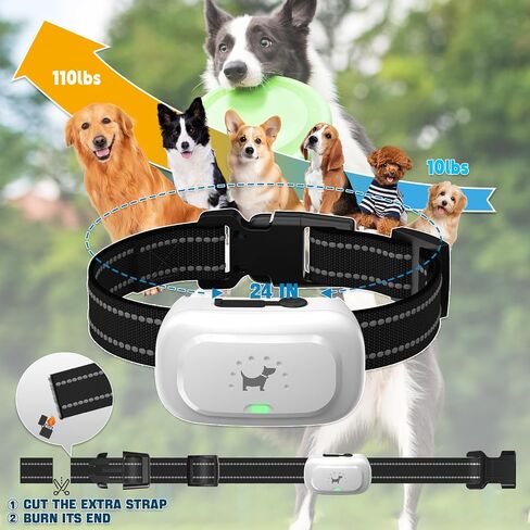 Dog Shock Collar with Remote - [2024 Newly Upgraded] Dog Training Collar for Small Medium Large Dogs, Rechargeable E Collar for Dogs Training, IPX7 Waterproof Electric Collar with Unique Shock-Lock in Saudi Arabia