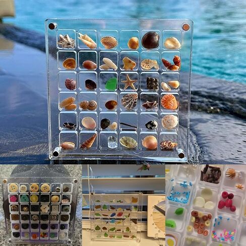 Acrylic Magnetic Seashell Display Box, Seashell Storage Box Display Case Decorative Seashell Starfish Trinket, Small Craft Organizers Container for Bead, Nail, Jewelry, Square-36 Grid in Saudi Arabia