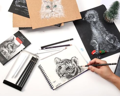 White Charcoal Pencils Set - 12 Piece Sketch Highlight White Pencils Set for Drawing, Sketching, Shading, Blending, Artist Pencils for Artists, Professionals or Beginners in Saudi Arabia