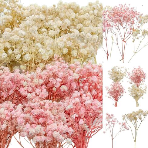 100Pcs Mini Dried Babys Breath Flowers Pink & White, 5600+ Baby's Breath Bulk Bouquet, Natural Dried Gypsophila Flowers for Resin, Home Vase Decor, Card Making DIY, Party, Wedding Flower Wreaths in Saudi Arabia