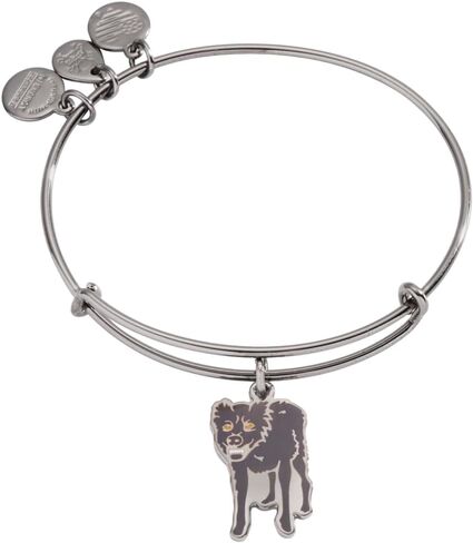 Alex and Ani AS21HPILUM3RS، غلاف إضاءة هاري بوتر، كستنائي، فضي رافائيلي، أحمر، أساور in Saudi Arabia