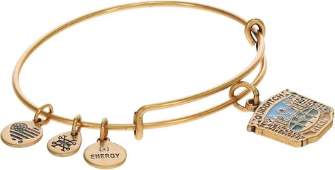 Alex and Ani AS21HPILUM3RS، غلاف إضاءة هاري بوتر، كستنائي، فضي رافائيلي، أحمر، أساور in Saudi Arabia
