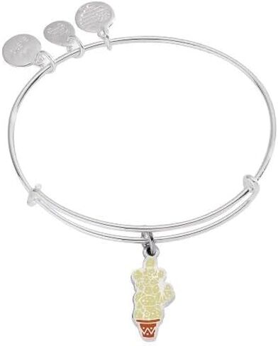 Alex and Ani AS21HPILUM3RS، غلاف إضاءة هاري بوتر، كستنائي، فضي رافائيلي، أحمر، أساور in Saudi Arabia
