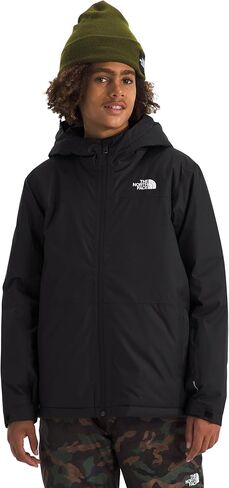 THE NORTH FACE Boys' Freedom Insulated Jacket, Summit Gold Paint Lightening Small Print, X-Small in Kuwait