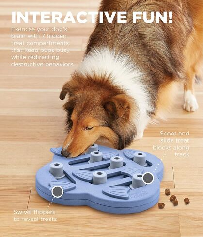 لغز علاج الكلاب التفاعلي من Outward Hound Nina Ottosson Paw N' Play، لعبة إثراء للكلاب من المستوى 2 المتوسط، أزرق، صغير in Kuwait