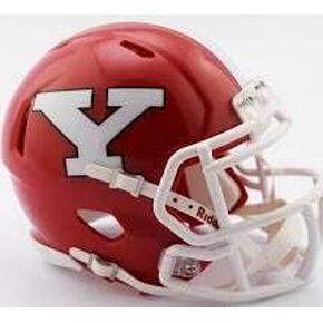 Riddell NCAA Youngstown State Penguins Helmet Mini SpeedHelmet Replica Mini Speed Style, Team Colors, One Size