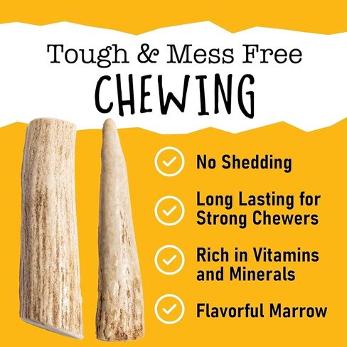 Snatchers Split Elk Antlers for Dogs – Long Lasting Dog Chews and Dog Toys for Aggressive Chewers, Naturally Shed Deer Antlers for Dogs Processed in The USA, No Additives (Medium, 1 Count) in Saudi Arabia