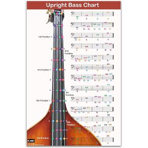 QMG Upright Bass Fingering Chart with Color-Coded Notes, Double Bass Chart Suitable for All Levels, Laminated, Size 11" x 17"