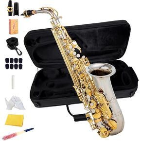 E-flat alto saxophone - box, mouthpiece, whistle, E-flat saxophone instruments