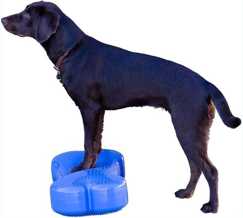 FitPaws® K9FITbone® - عادي، برتقالي | منصة تدريب توازن الكلاب ومعدات التمرين | أداة تجريب للقوة والأساسية والاستقرار in Saudi Arabia