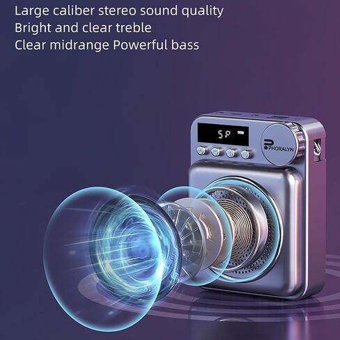 Wireless Voice Amplifier for Teachers, Original Voice Amplifier Wire Microphone with 2 Microphones, Portable Speaker megaphone for Classroom, Training, Meeting, Instructors, Coaches, Games (Purple) in Saudi Arabia