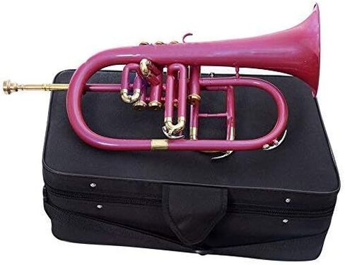 SM'Sai Musicals 4 Valve Flugel Horn With Mouthpiece And Hard Case For School Band Blue Flugel Horn BB Pitch Brass Musical Instrument For Orchestra Beginners Professionals For Kids Adults in Saudi Arabia