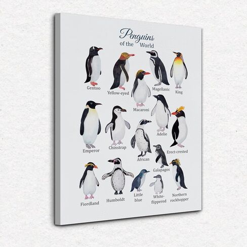 Nogrit penguin decor Canvas Wall Art 11×14,penguin gift,penguin poster Canvas art,penguin decorations,Newlywed Couples Gifts, Valentine Wedding Gifts 129 in Saudi Arabia