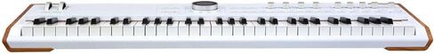 Arturia Astrolab Avant-Garde Stage Keyboard with Analog Lab Pro Integration Bundle with AKG K 240 Studio Professional Semi-Open Stereo Headphones, FP-P1L Sustain Pedal and Keyboard Dust Cover in Saudi Arabia