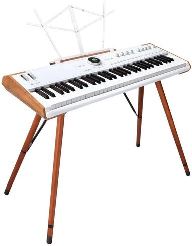 Arturia Astrolab Avant-Garde Stage Keyboard with Analog Lab Pro Integration Bundle with AKG K 240 Studio Professional Semi-Open Stereo Headphones, FP-P1L Sustain Pedal and Keyboard Dust Cover in Saudi Arabia
