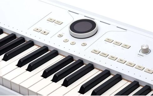 Arturia Astrolab Avant-Garde Stage Keyboard with Analog Lab Pro Integration Bundle with AKG K 240 Studio Professional Semi-Open Stereo Headphones, FP-P1L Sustain Pedal and Keyboard Dust Cover in Saudi Arabia