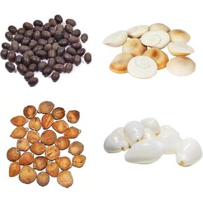 Mahalakshmi Puja PACK of 4 COMBO Laghu Nariyal, white Sea shell (Kawri/Kodi), Kamal Gatta and Gomti Chakra (11Pcs Each) Puja Worship Diwali Pooja Samagri