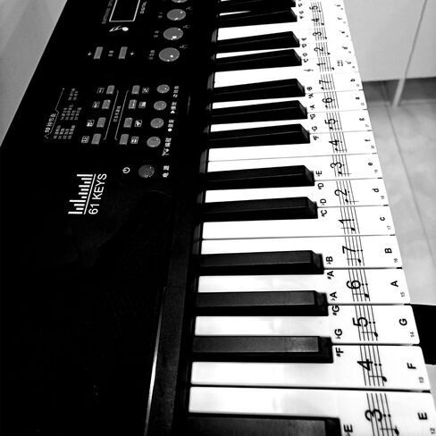 Piano Keyboard Stickers for 88/61/54/49 Key, Removable with Numbers for Beginner Piano Key Stickers for Great Children's Gift-Black in Saudi Arabia